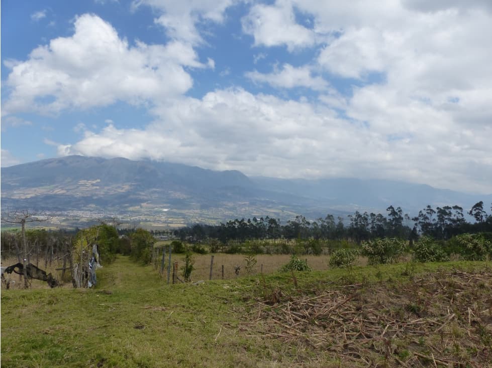 LOTES EN ILUMAN - 1