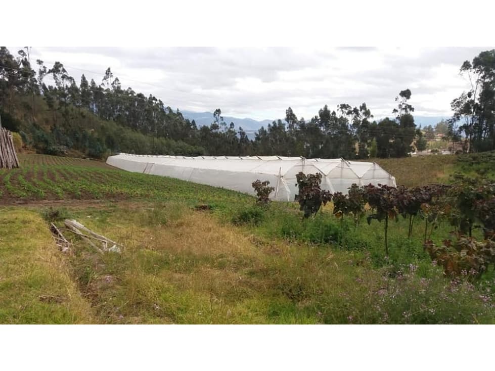 VENDO QUINTA DE 5 HECTAREAS EN ATUNTAQUI - 1