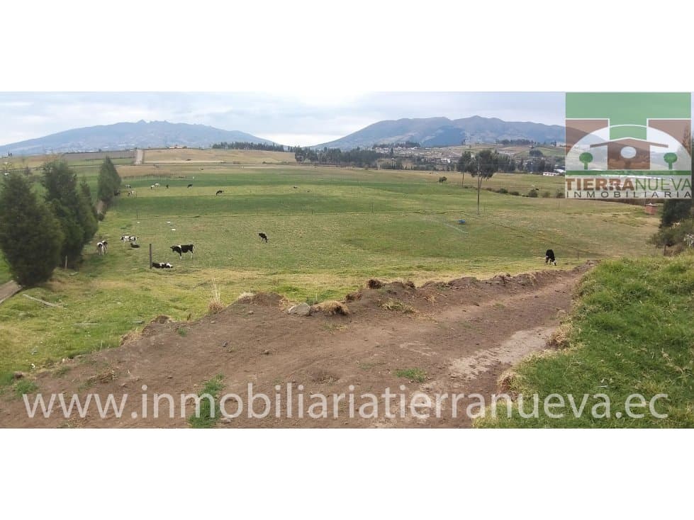 EN VENTA 5 HECTAREAS PLANAS EN AYORA-CAYAMBE - 1