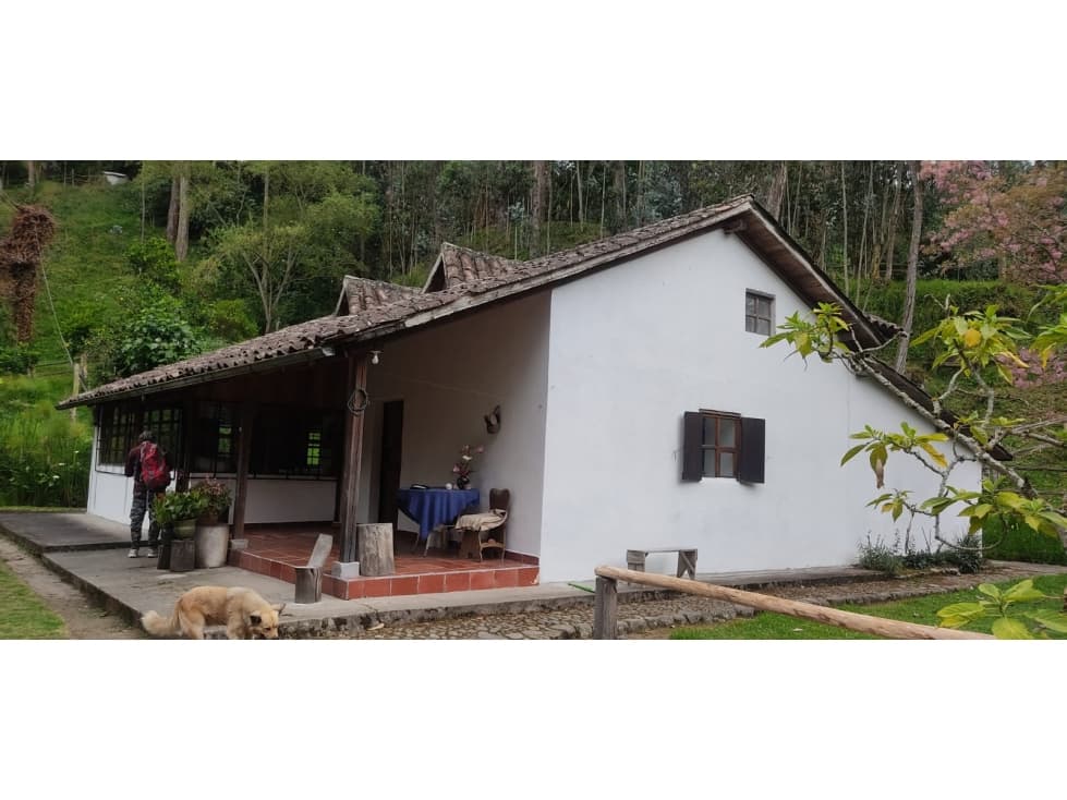 PROPIEDAD UNICA EN OTAVALO 4 HECTAREAS - 1