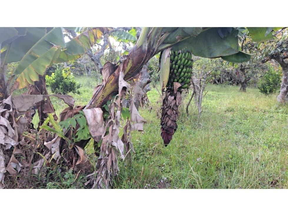 ¡OPORTUNIDAD ÚNICA EN CHALTURA! - 1