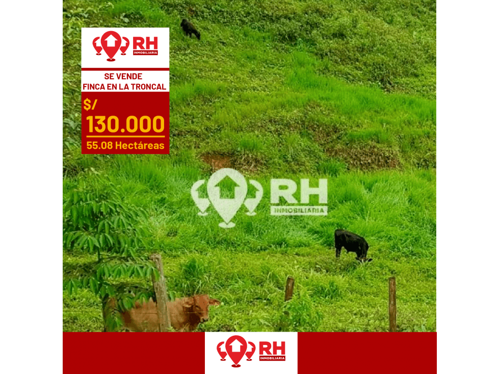 FINCA EN VENTA EN LA TRONCAL DE CAÑAR DE 55.08 HECTÁREAS #896 - 1