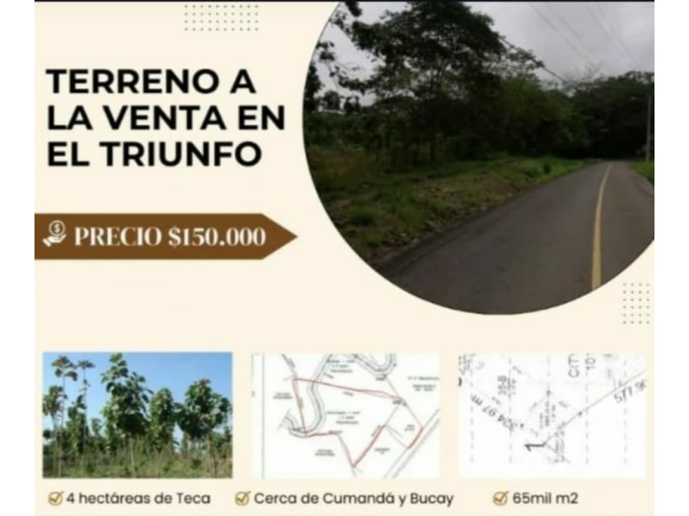 Terreno en ubicado en El Triunfo (4 hectáreas de Teca) - 1