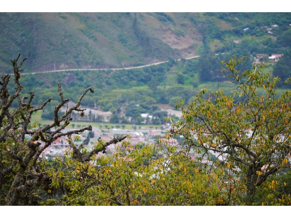 SE VENDE TERRENO DE 5,367m2 SECTOR PIRINCAY ALTO EN PAUTE - 1