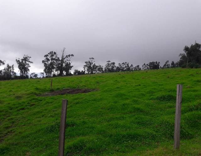 DE VENTA HERMOSA HACIENDA DE 70 HAS EN OTAVALO - 1