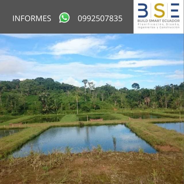 Inversionistas Finca Productora de Tilapias 46.97 Hectáreas - 1