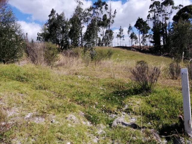 Vendo terreno de oportunidad - 1