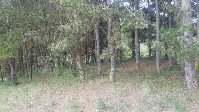 Vendo linda propiedad para quinta vacacional en penipe via a banos de agua santa , altamente turistico de oportunidad - 1