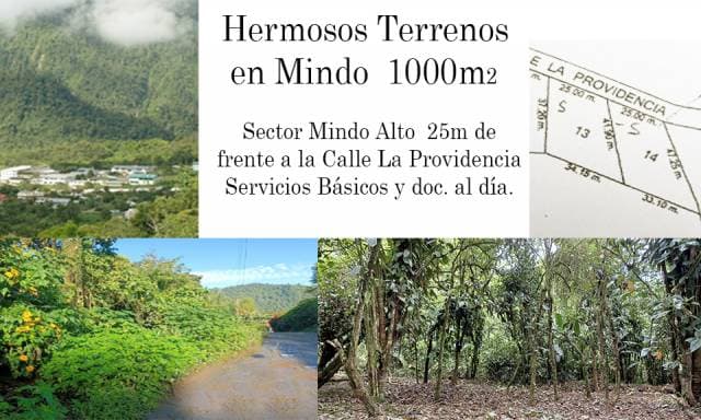 Vendo Terreno con servicios básicos y hermosa vista en Mindo - 1
