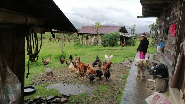 Se vende de oportunidad Hermosa Finca en el Napo - 1