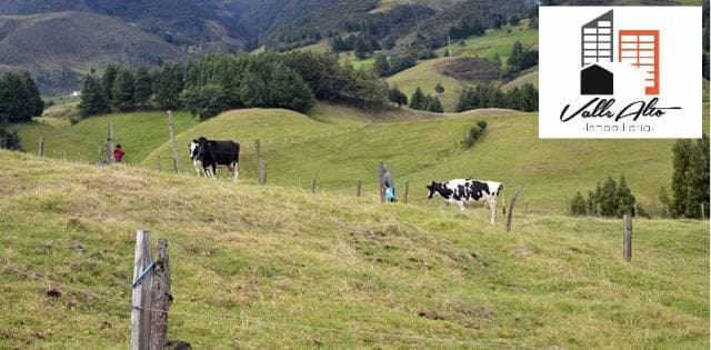 PROPIEDAD RURAL EN PORTETE VÍA A SANTO TOMAS. - 1