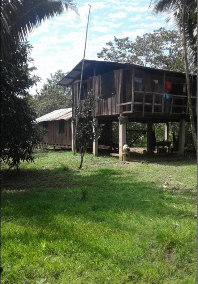 URGENCIA SE VENDE PROPIEDAD DE 54 HECTAREAS - 1