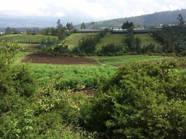 Se vende Terreno en Guayllabamba - 1