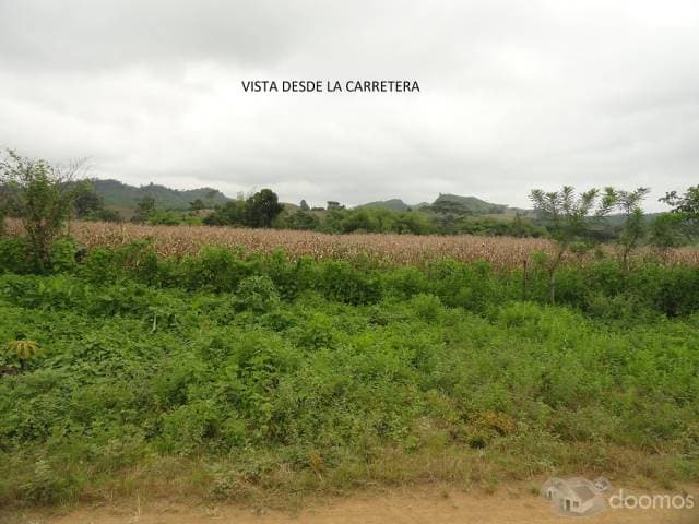 VENDO LOTE DE TERRENO DE 28 Has. en Guayas - 1
