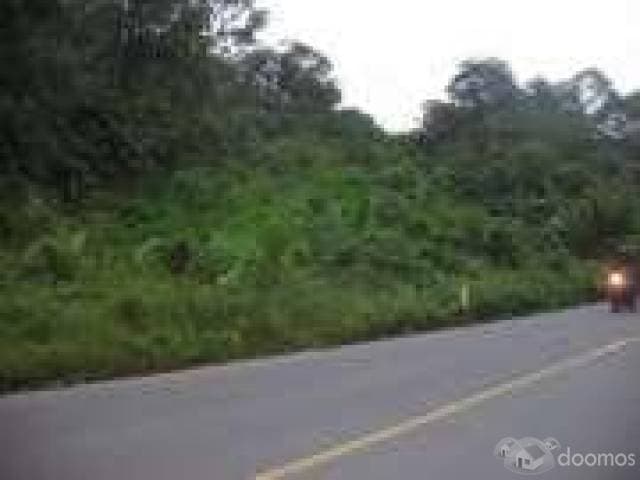 finca 47 hectareas lumbaqui - 1