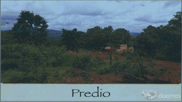 320000 m2 O 32 HECTÁREAS - 1