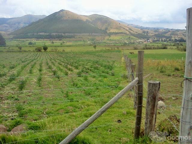Gran Oportunidad, Terreno de 2 Hectáreas en Ayora Cayambe - 1