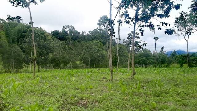 LOTE DE TERRENO EN VENTA - 1