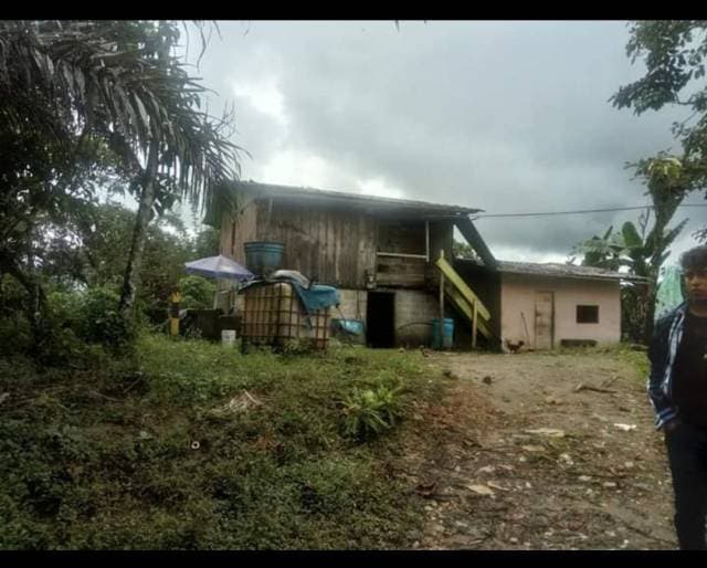 Se vende Finca Ganadera de 19,6 hectáreas en San Miguel de los Bancos - 1