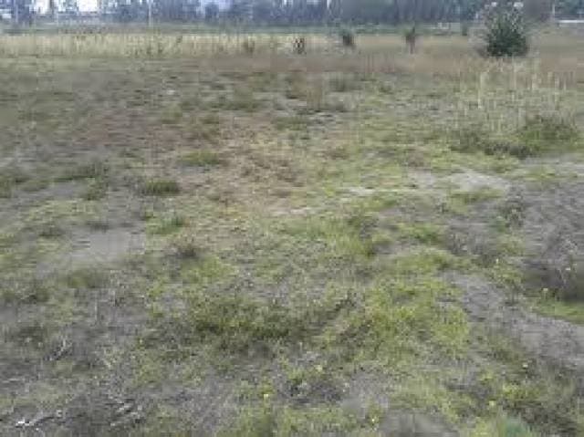 Vendo terreno Latacunga Izimbo 2 - 1