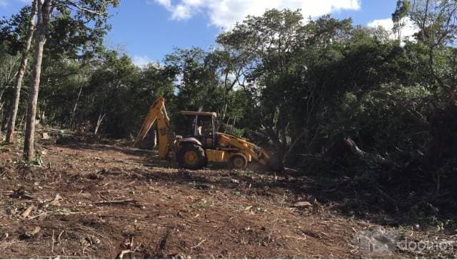 VENTA DE 2 LOTES DE 8 X 30= 240m2 - 1