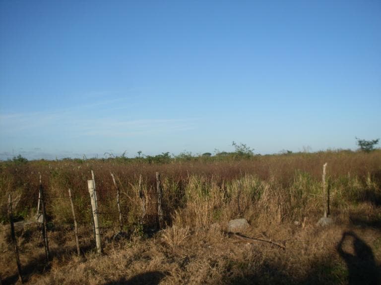 usocomun - 1