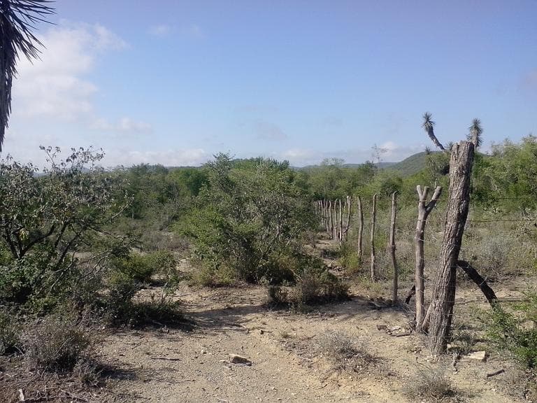 Terreno cerca de presa a solo 100,000 - 1