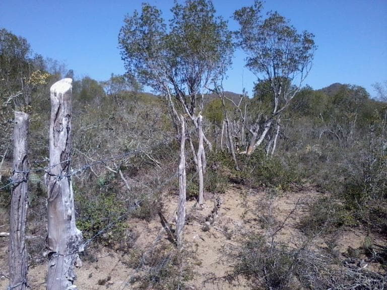 Bonito terreno campestre de 80 x 40 m2 - 1