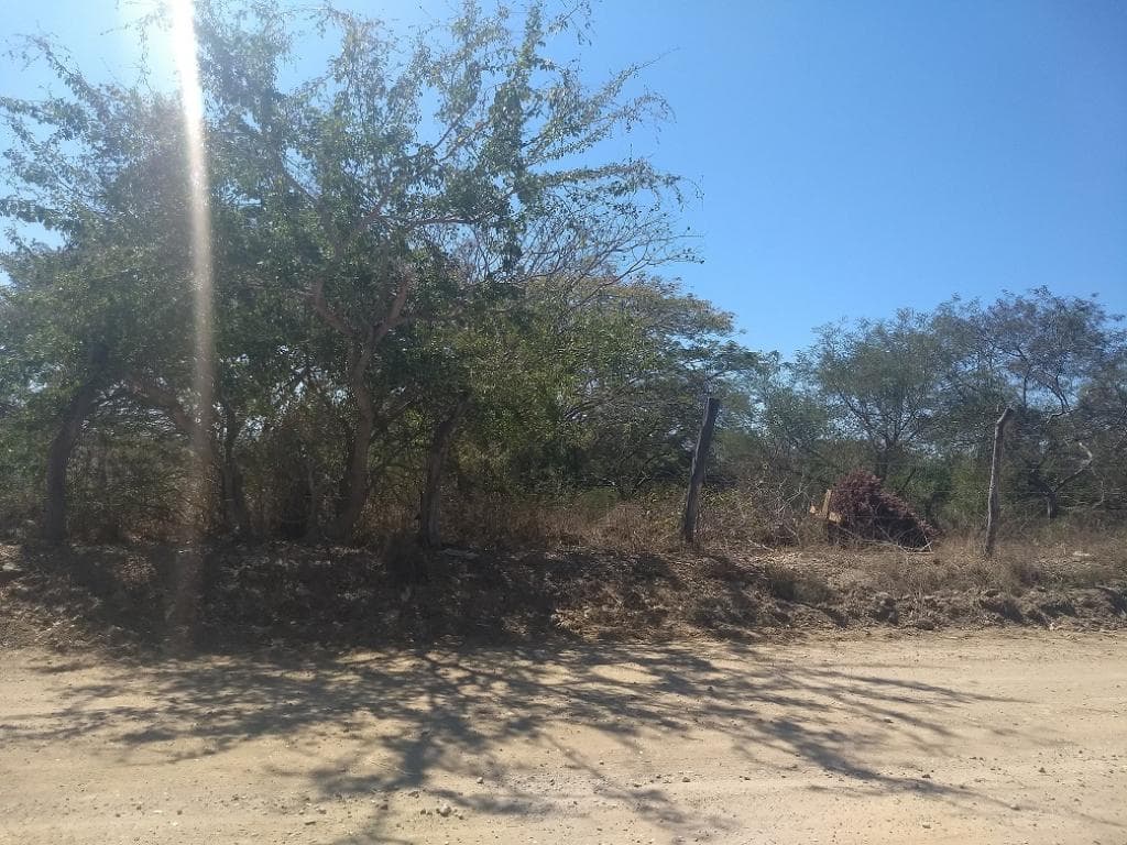 LOTE PARA DESARROLLO HABITACIONAL - 1