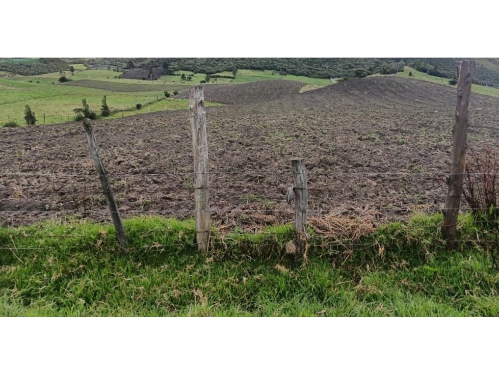 GRAN OPORTUNIDAD: TERRENO 3.2 HAS EN VENTA - CAYAMBE - 1