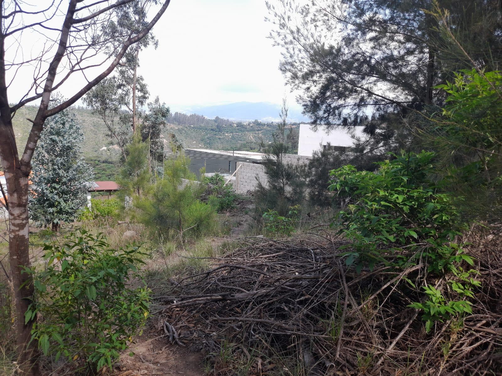 Terreno en Norte de Quito - 1