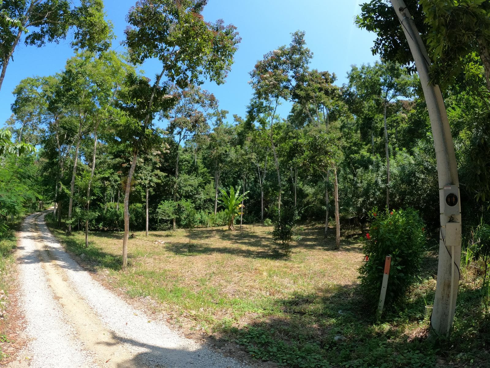 Terreno en Dos Mangas - 1