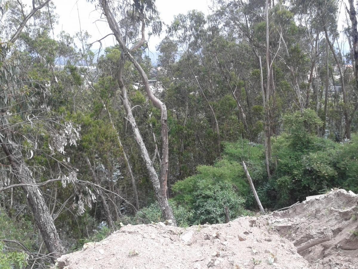 MIRAVALLE.HERMOSO LOTE IDEAL PARA CONSTRUCTORES - 1