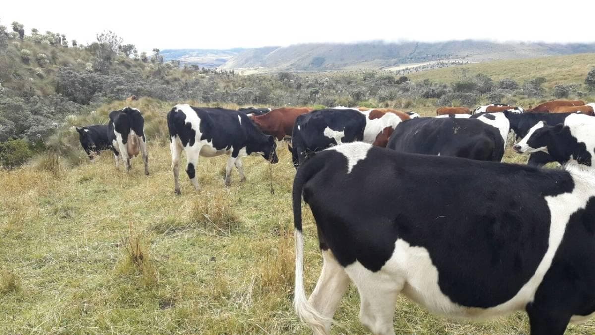 OPORTUNIDAD INVERSIONISTA VENDO HERMOSA HACIENDA en CARCHI 683 Has - 1