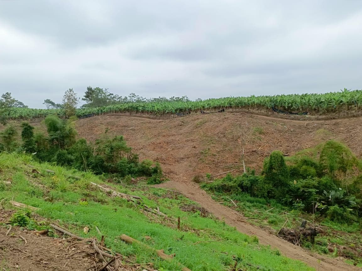 VENTA DE HACIENDA VIA EL EMPALME FRENTE A RIO MACUL - 1