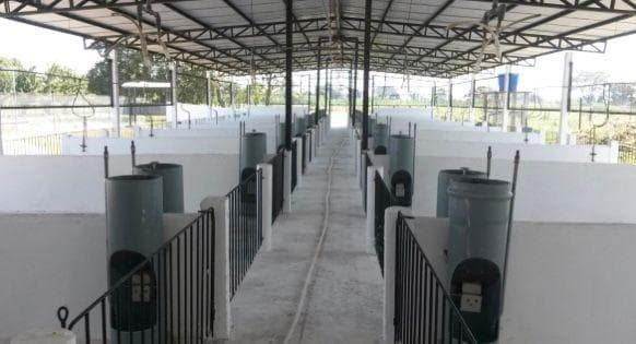 Se vende Chanchera en Babahoyo, Cañaveral de Adentro km 7.5 vía caracol la unión - 1