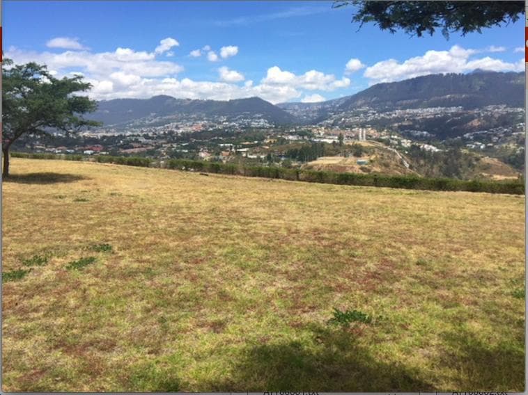 CUMBAYA TERRENO DE VENTA EN URB.PRIVADA LINDA VISTA SECTOR COLEGIO MENOR - 1
