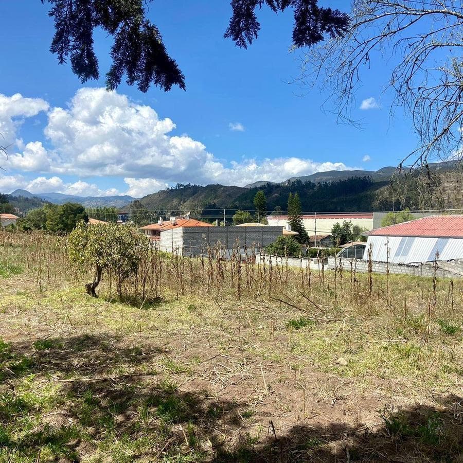 HERMOSO TERRENO , SECTOR ZHULLIN (1 HECTAREA) - 1