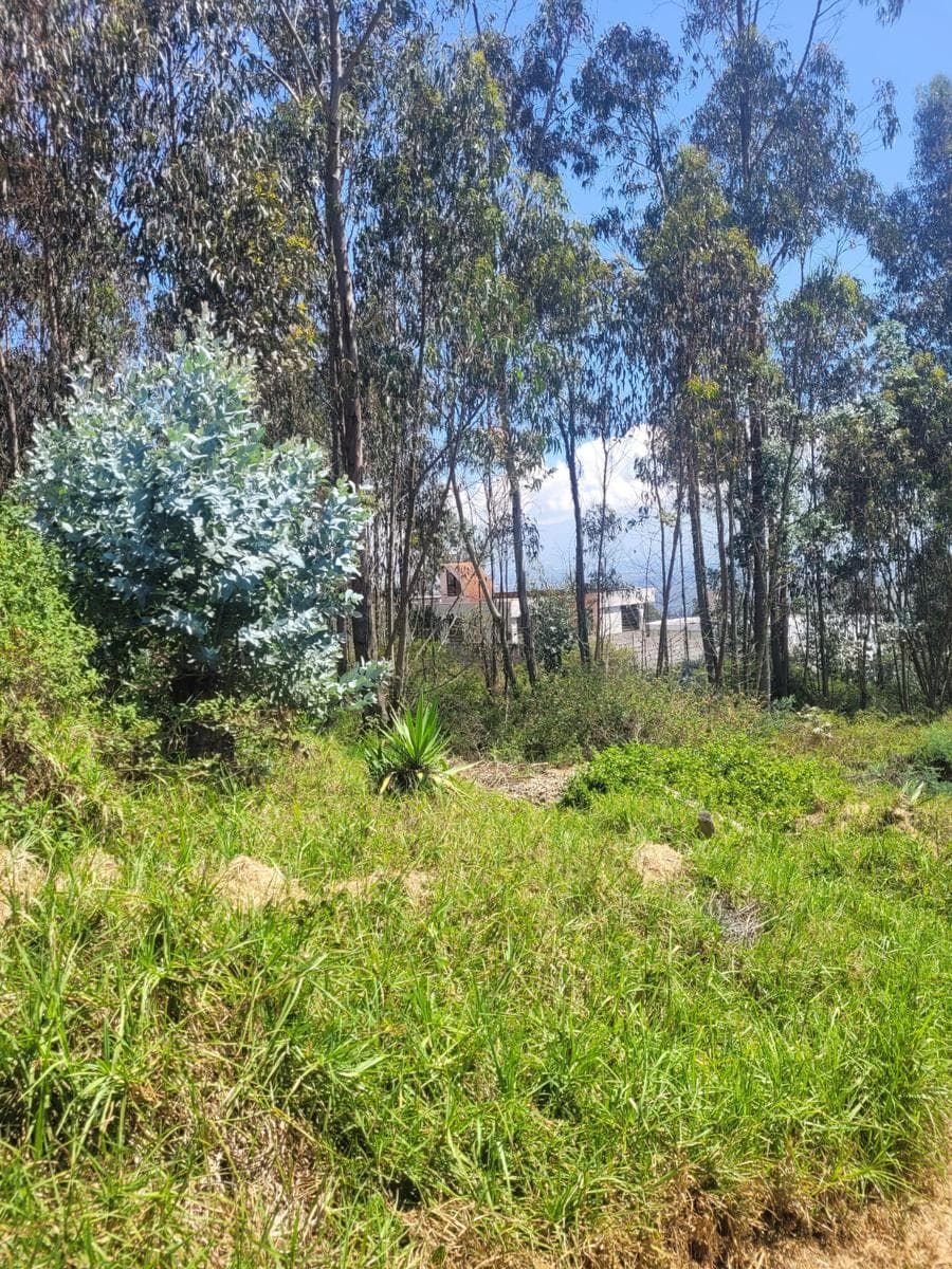 NAYÓN - TERRENO DE 1.500 M2 EN VENTA DENTRO DE URBANIZACIÓN - 1