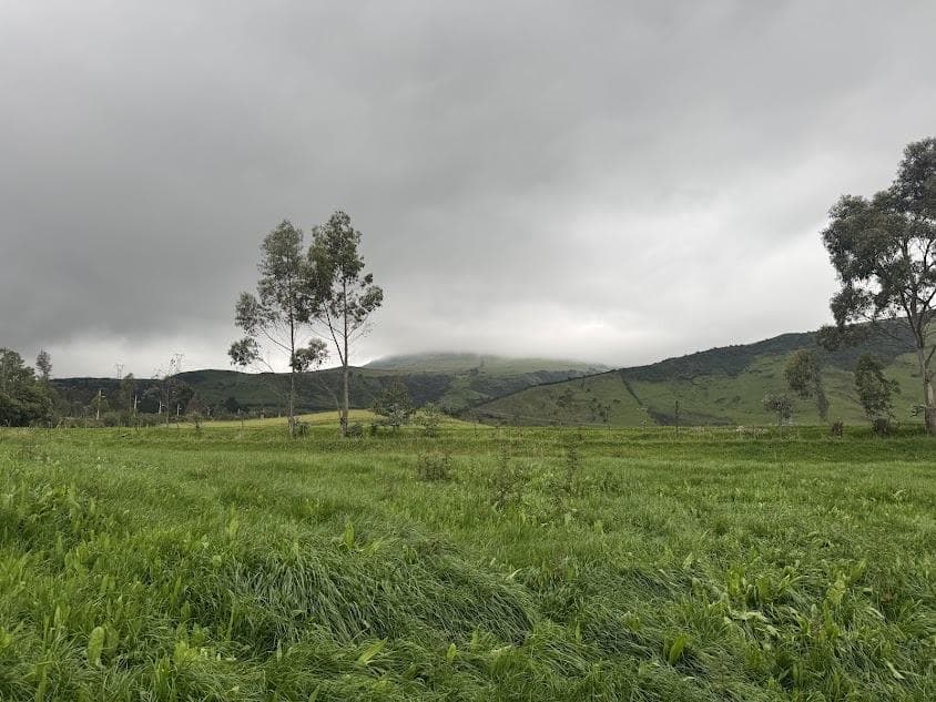 HACIENDA DE VENTA DE 134 HECTÁREAS PIFO - QUITO - ECUADOR - 1