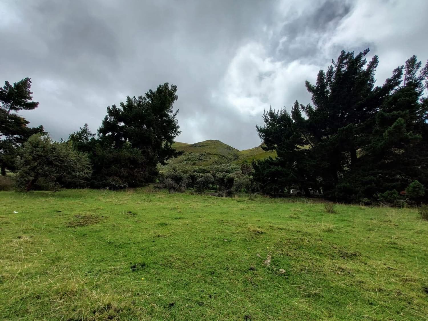 FINCA DE 81 HECTÁREAS SECTOR PIFO A 35 MINUTOS DE LA E35 - 1