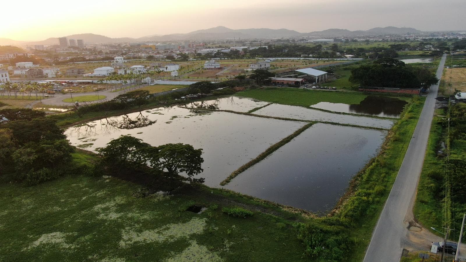 VENTA DE TERRENO LOTIZACION BUIJO SECTOR DE ALTA PLUSVALIA - 1