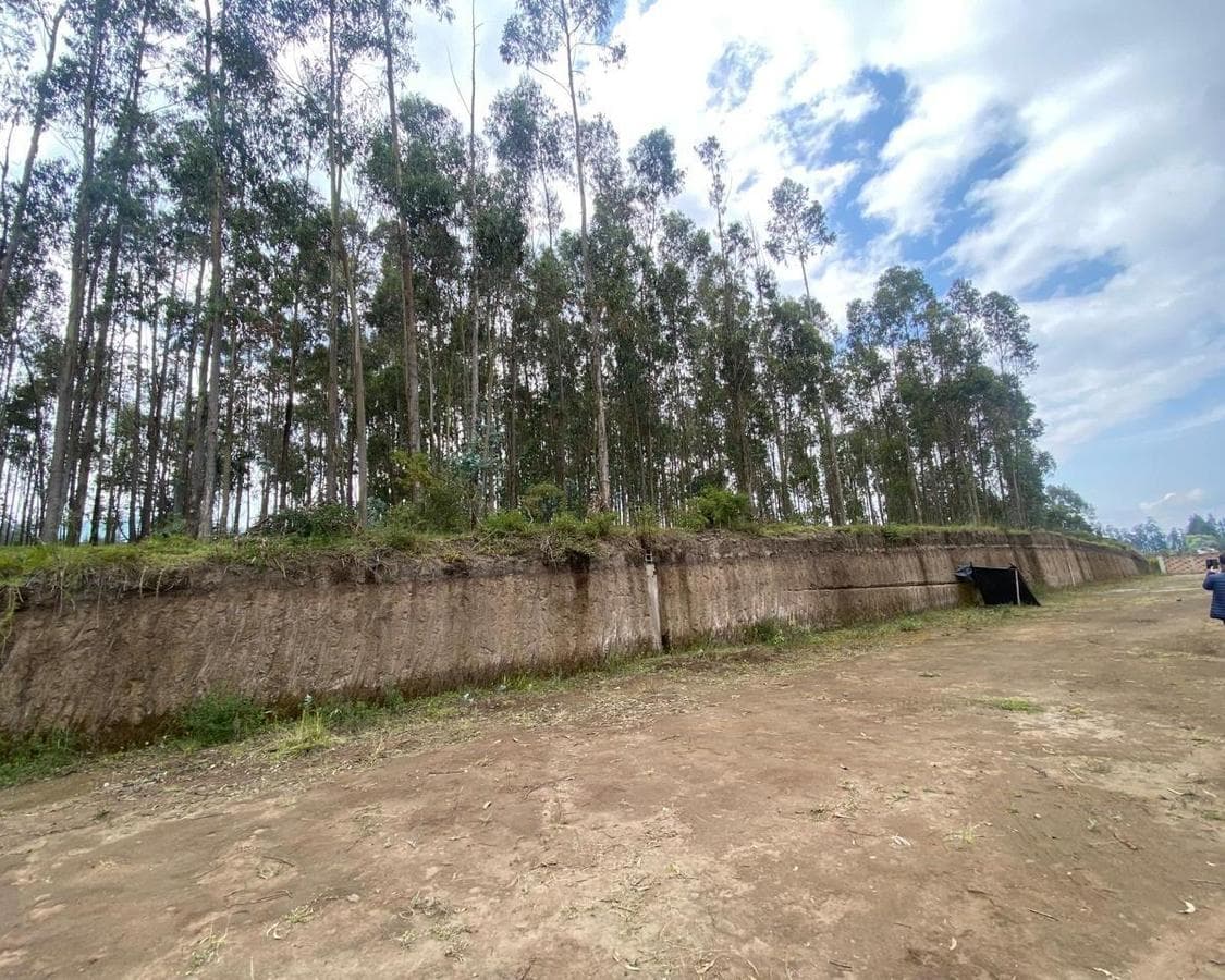 Venta Terreno de 10000 m2 en Yaruqui - 1