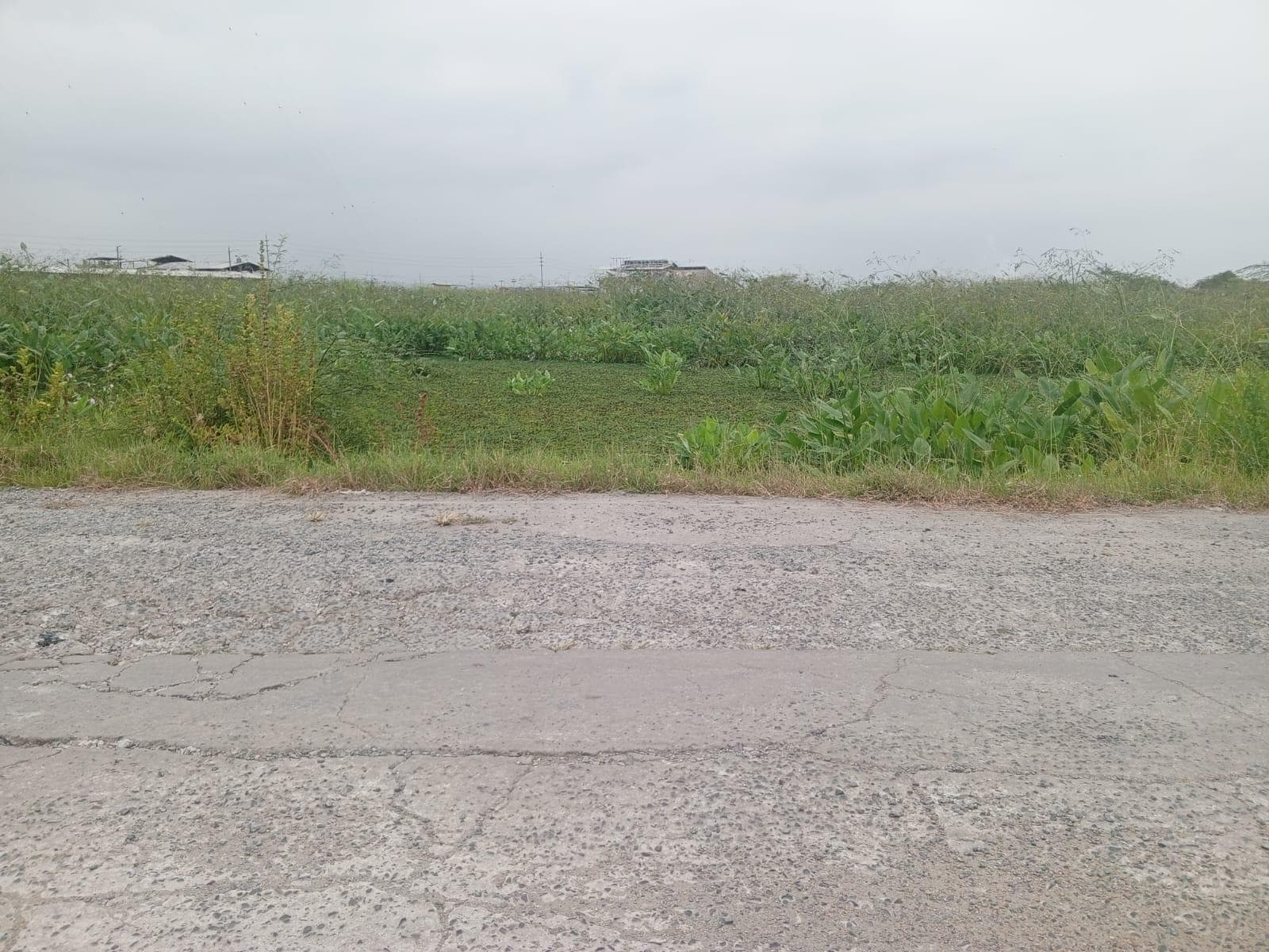 VENTA TERRENO INDUSTRIAL 9000M2 VIA DURAN TAMBO (AGE) - 1
