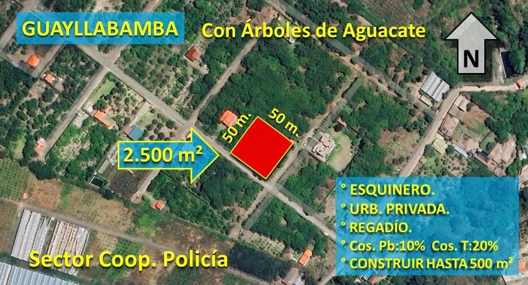 XG_VENTA TERRENO EN GUAYLLABAMBA 2.500 m² con Producción de Aguacates, esquinero. - 1