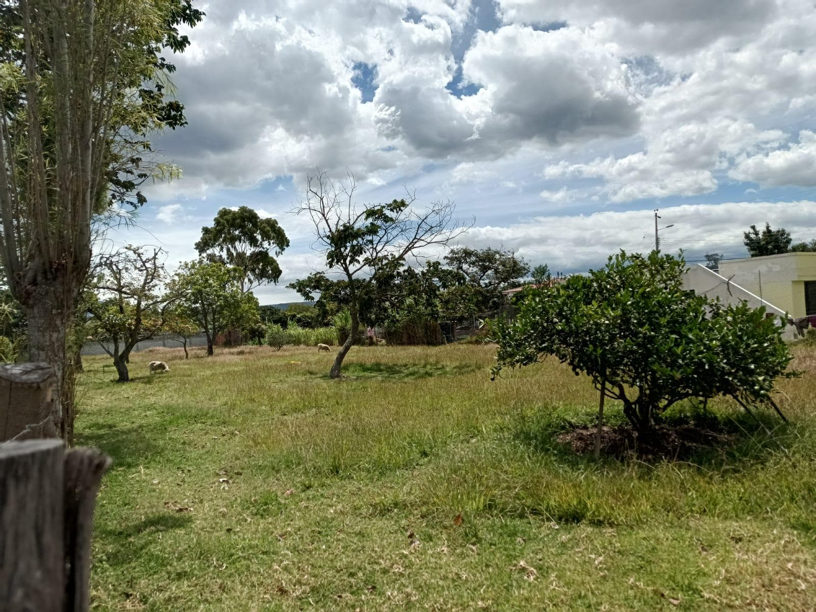 Terreno de 1700m2 de venta Sector Collaqui - Tumbaco - 1