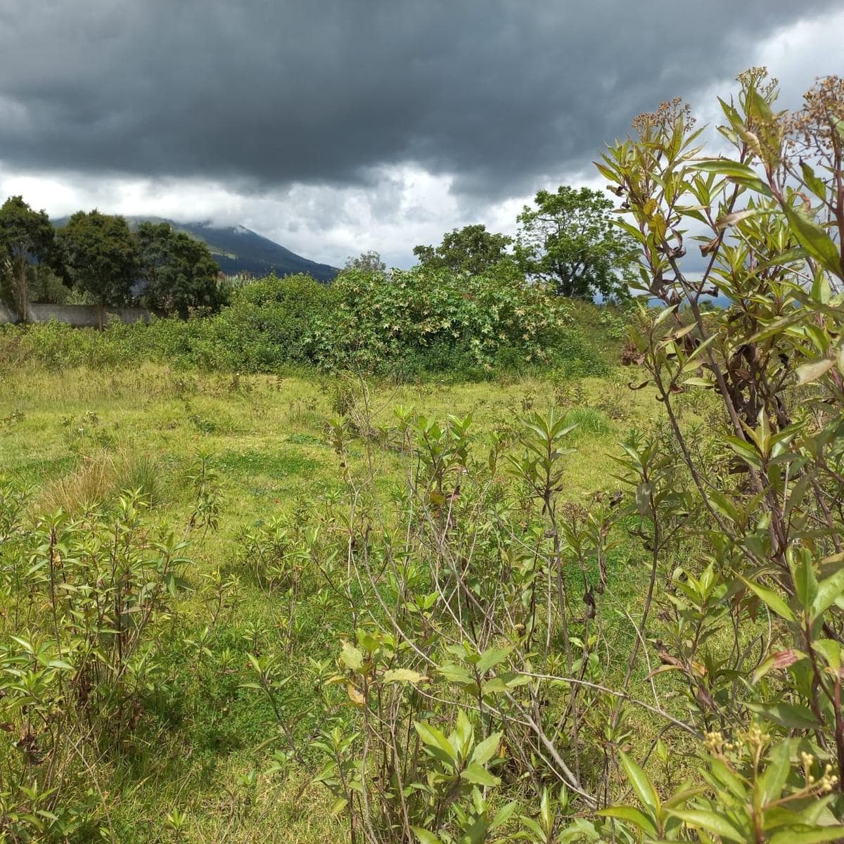 Terreno en Atuntaqui - 1
