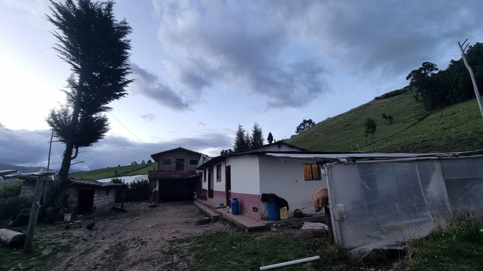 VENDO FINCA DE 8 HECTAREAS EN CAYAMBE COMUNIDAD CARIACU - 1