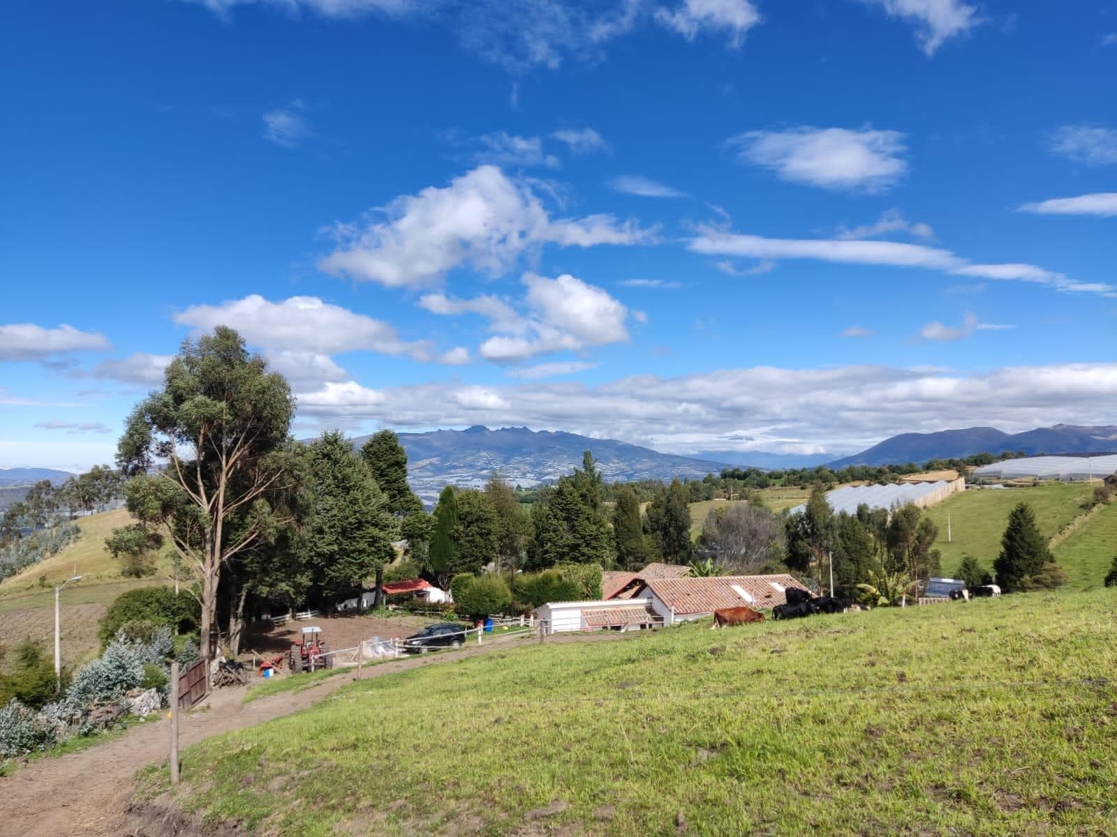VENDO FINCA DE 9.5 HECTAREAS PICHINCHA-CAYAMBE - 1