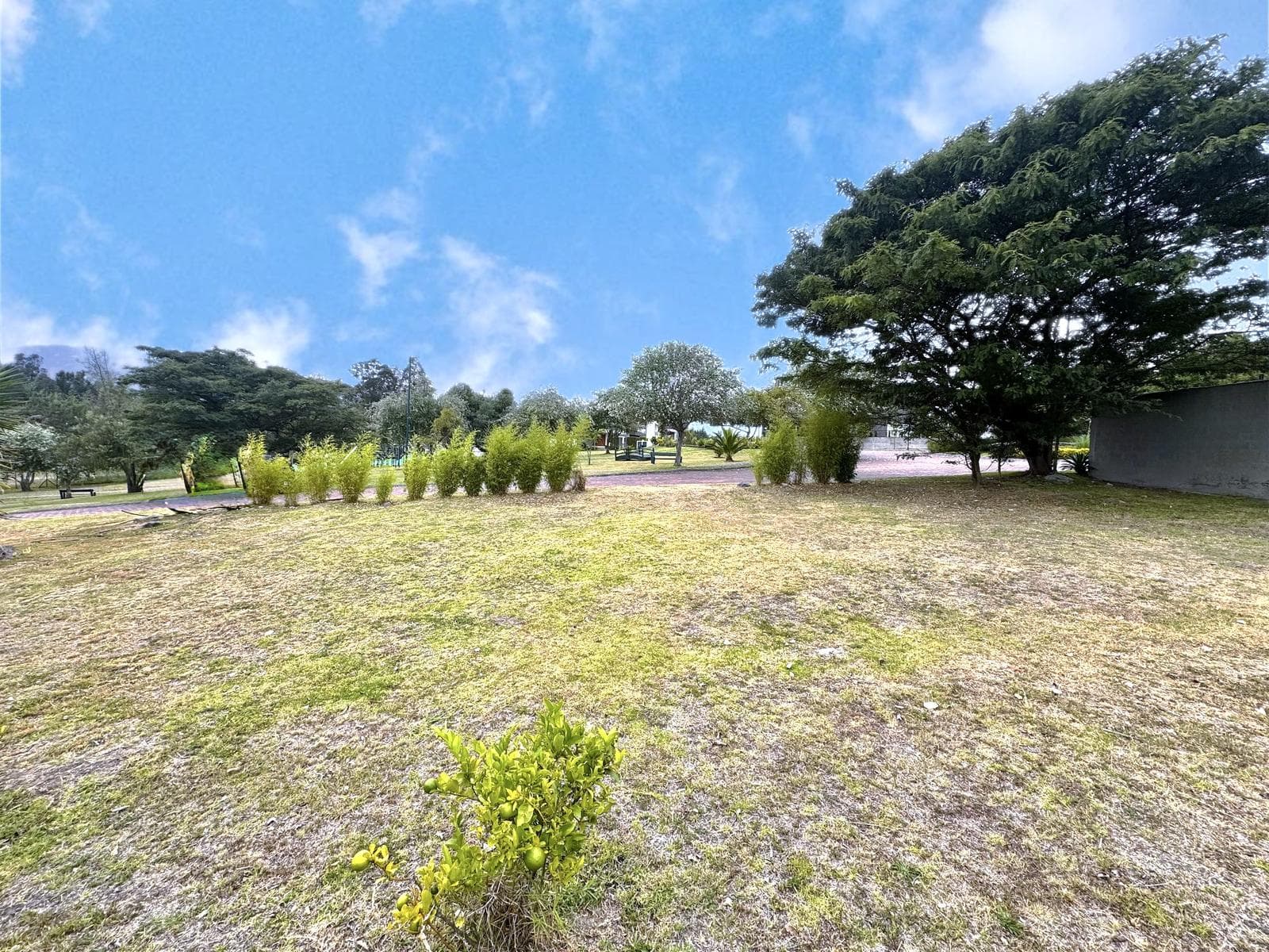 PUEMBO - VIA MARQUESINA 1383 M2 EN VENTA TERRENO MULTIFAMILIAR - 1